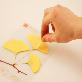 full image Sticky Leaf - Ginkgo