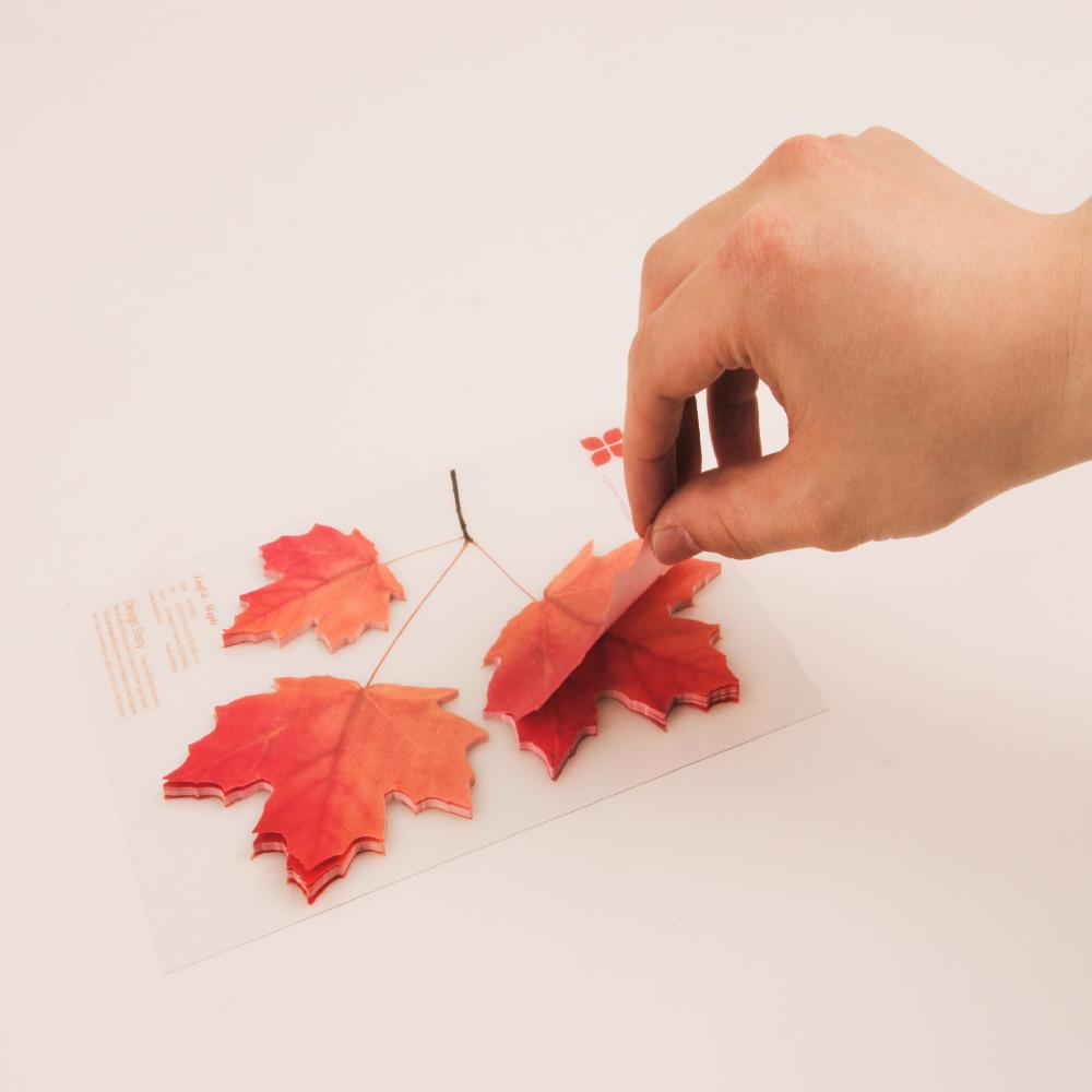 Sticky Leaf - Maple