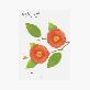 detail image5 Sticky Leaf - Camellia