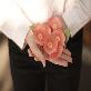full image Sticky Leaf - Camellia