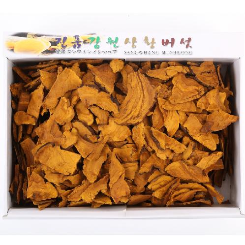 Sangwhang Mushroom | health care, sangwhang mushroom, food, tea