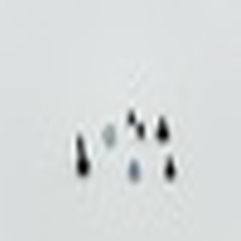 OEM Automotive home appliance customizing speical stainless steel screw