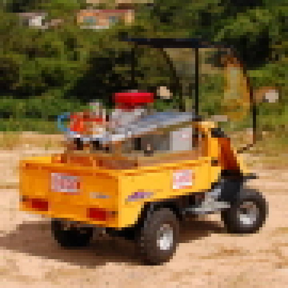 Electric Vehicle(SJE IZ 2000)