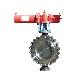 detail image3 BUTTERFLY VALVE