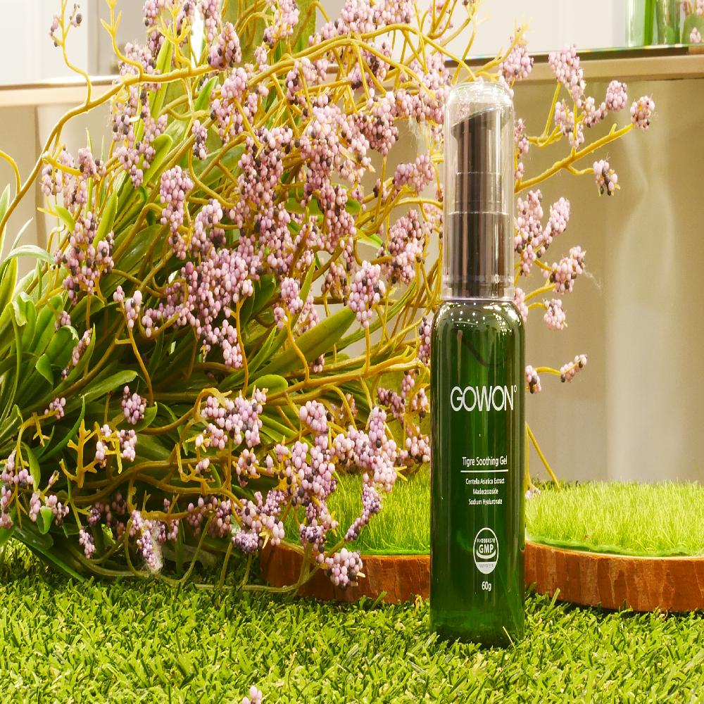 GOWON TIGRE SOOTHING GEL