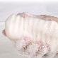 detail image1 [CLEABEAR] Konjac Double Sided Body Sponge - 1pack
